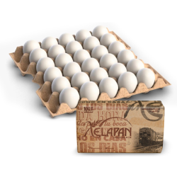 Huevos + Chocolate Xelapan (1 cartón por pedido) Huevos + Chocolate Xelapan (1 cartón por pedido)
