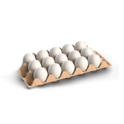 Medio Cartón de Huevos Medio Cartón de Huevos